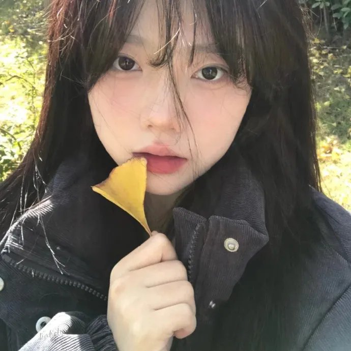 缅因海快递